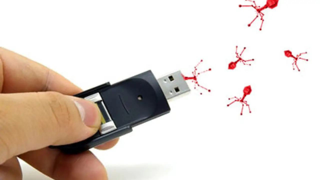 partes de un virus informatico