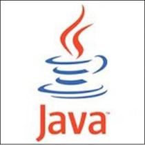 Java, lenguaje que trabaja con POO