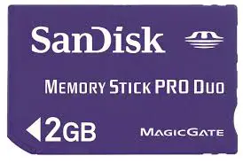 Memory Stick Pro Dou Scandisk