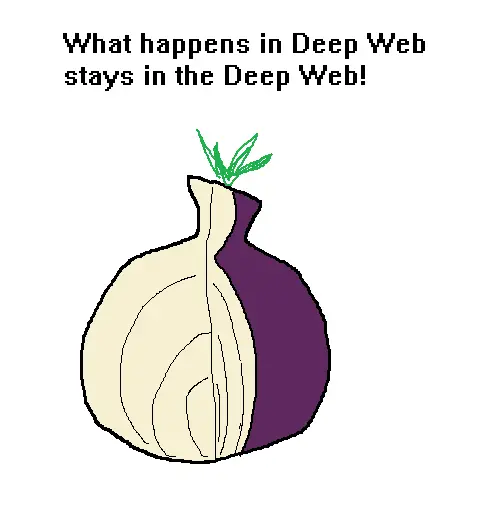 Utilizar Tor para La Deep Web es muy apropiado.