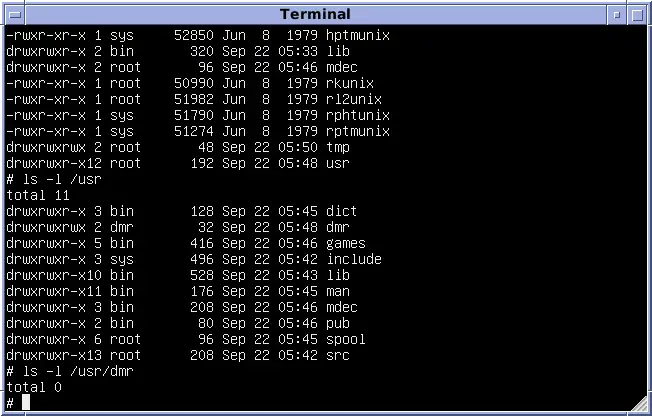 Consola de Linux y sus comandos.
